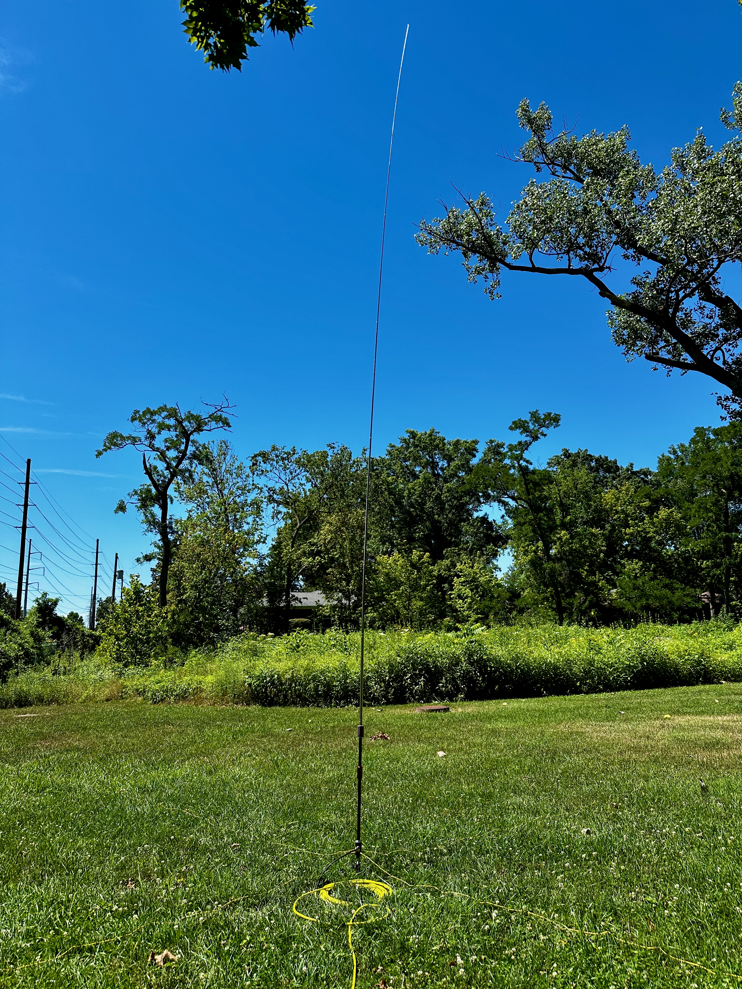 A green, grassy patch of grass with some more wild grass behind it. On the right is a line of high-tension power lines. Some tall trees line the background under clear blue skies.