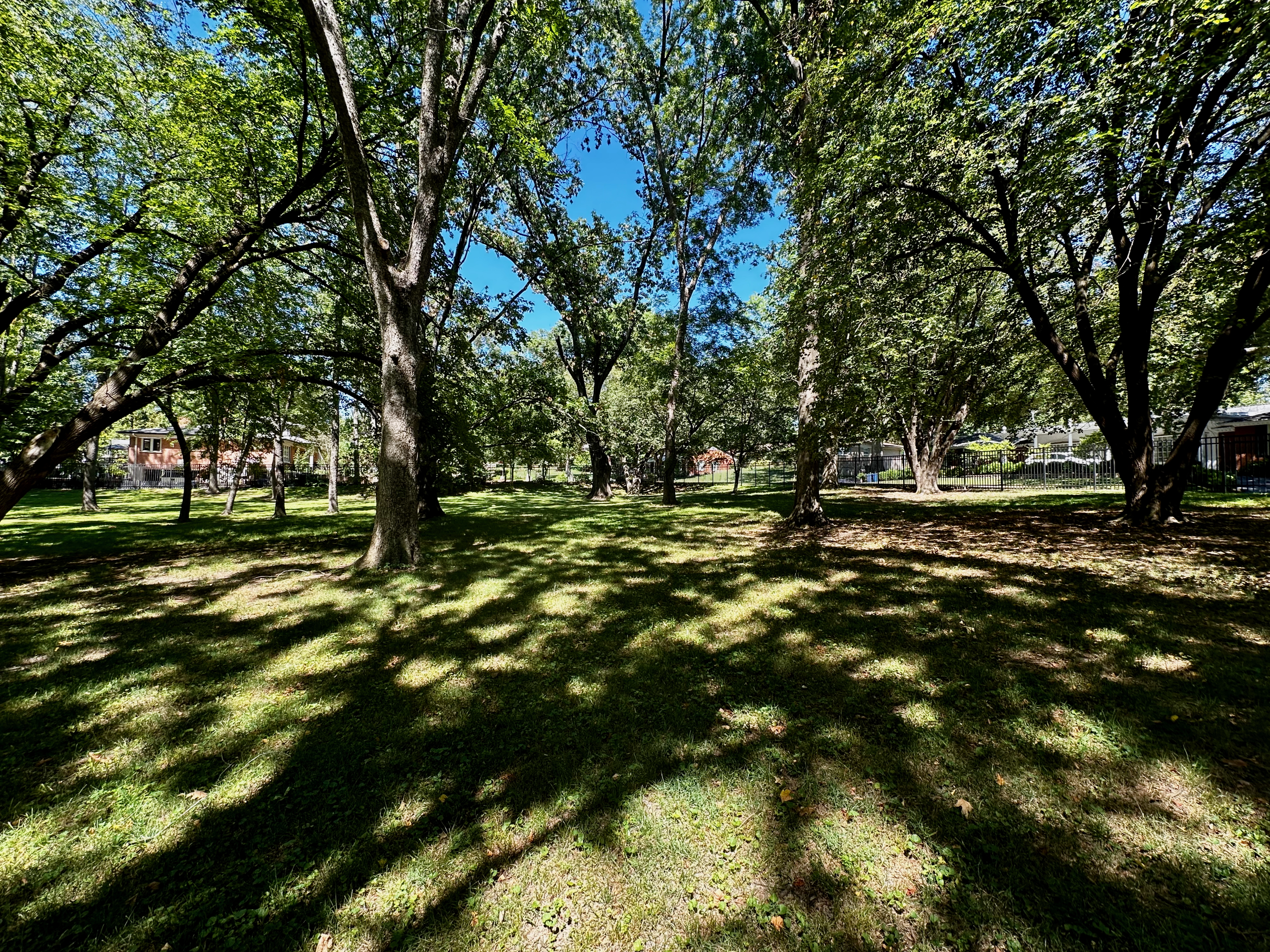 A tree-covered lawn speckled with sunlight from a clear blue sky. Some houses are visible to the right through the fenceline.