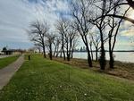 A view of downtown Louisville in the distance through the MC-750 vertical whip and some trees along the Ohio river.